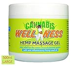 WELLNESS HEMP GEL al CAÑAMO 500ml Pomada Antiinflamatoria Alivia el Dolor | Suaviza Músculos y Articulaciones , Mejora Dolores de Espalda Rodilla y Cuello